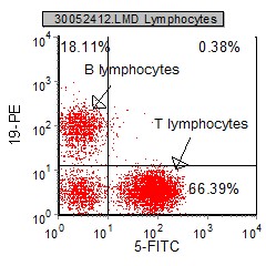 Introduction To Flow Cytometric Analysis | Flow Cytometry